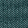 colour_Meld & Kale