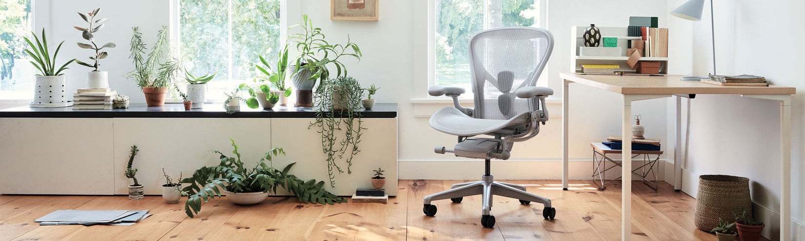 Herman Miller Aeron i mineral med OE1-skrivebord med fast højde, hvid ramme og asketræplade i et lyst hjemmekontor fyldt med planter