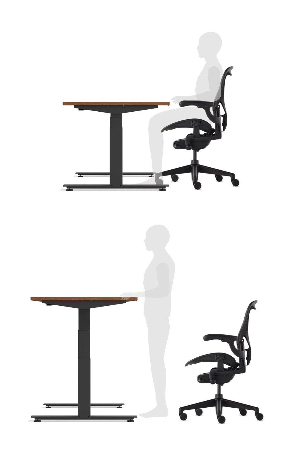 Grafisk stilbillede, der viser en person, der bruger et Nevi sidde-stå-bord i både siddende og stående position